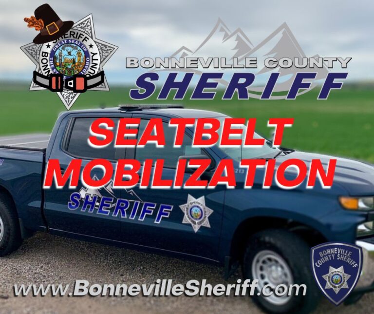 seatbelt mobilization