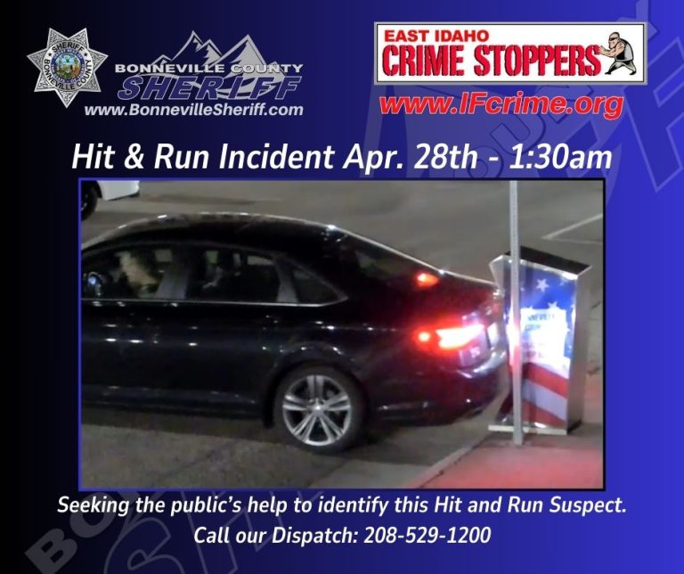 hit and run 04282024