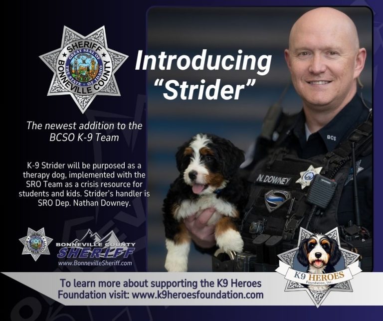 k9 strider
